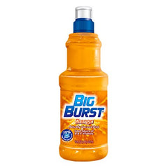 Big Burst Orange 24 ct